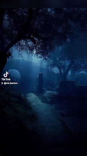 MT Barton (@mt.barton)’s videos with Fire Never Lies - The Soulful Gentlemen