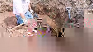 22K views · 269 reactions | NOKTA AU GOLD FINDER ''The smallest bit...