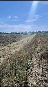 Sortie de la moisson, c'est déchaumage juste derrière pour commencer la décomposition de la matière organique, faire lever les adventices et éviter une éventuelle évaporation des sols. #dechaumage #déchaumeur_à_disques #aragon | Alexandre de Prodealcenter