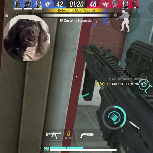 Rainbow six mobile ☠️....