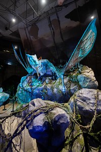 5.4K views · 78 reactions | [FIRST LOOK AT AVATAR: THE EXPERIENCE @ GARDENS BY THE BAY] The Avatar Experience is finally here at Gardens by the Bay, where you’ll get to step into the stunning world of Avatar, with beautiful illuminated floral and fauna from the world of Pandora, mythical creatures and more! ️ Now till 31st March 2023 Cloud Forest, Gardens by the Bay, 18 Marina Gardens Dr, Singapore 018953 ⏰ 9am-9pm daily | SHOUT | Facebook