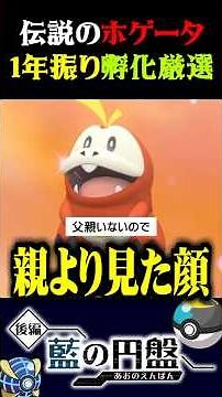 【一年振り】色違いホゲータの孵化厳選がカオス過ぎたww【ポケモンSV】【スカーレット・バイオレット】【うさごん】