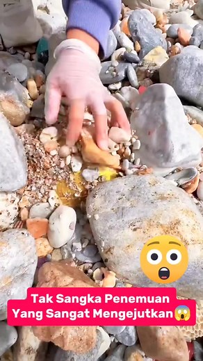 TERKEJUT! Jumpa Kura2😱 #momen #buaya #ular #phyton #cobra #hewan #snack #crocodile #aligator #animals #viralpostシ #viralvideoシ #fypシ#kura2 | Juliana Umi