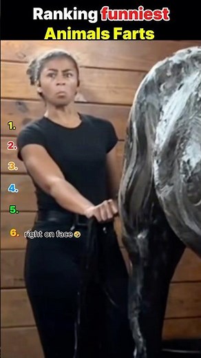 I Ranked the Funniest Animal Sounds 😂