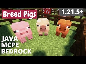How To Find and Breed all the Pigs in Minecraft 1.21.5+