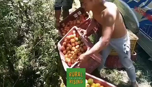 Rural Rising Philippines on Reels