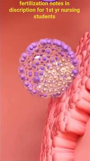 fertilisation process #1st yr nursing student 📝 notes in discription🌸✨