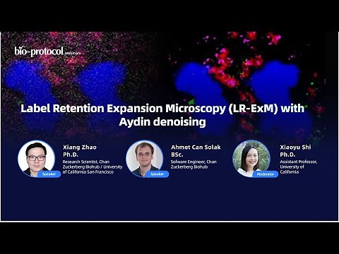 Label Retention Expansion Microscopy (LR-ExM) with Aydin denoising