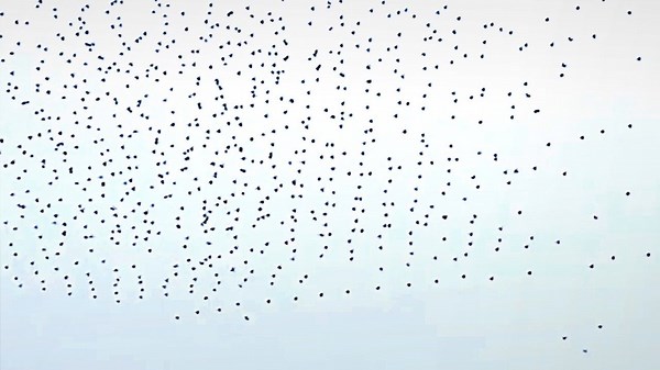 Hundreds of drones malfunction and fall from sky during fireworks show in China