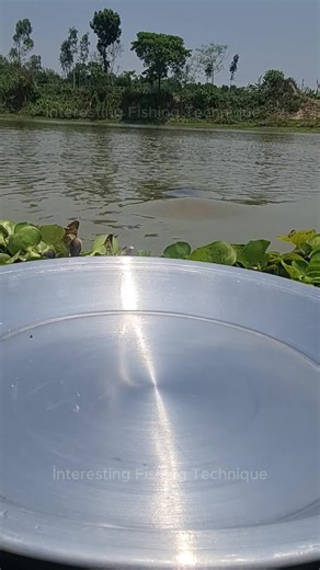 Essential Fishing Tips for Beginners