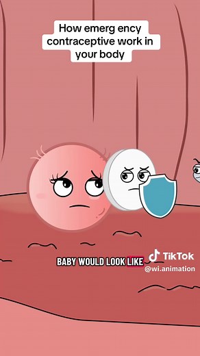 #tiktoktvfilmcontest #funny #foryou #animation #fyp How emerg ency contraceptive work in your body