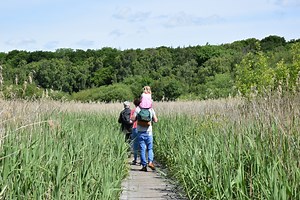 Gosforth Nature Reserve