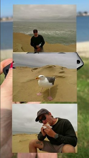 Reusable, screen free, lightweight, easy to use, and SO FUN Camp Snap Camera