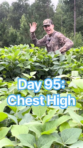 How to Grow MASSIVE Soybeans Fast 🚜🌱