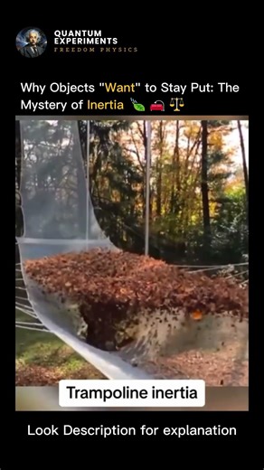 The Mystery of Inertia 🍃 #physics #usa