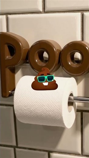 Petit caca décoration toilette #wc