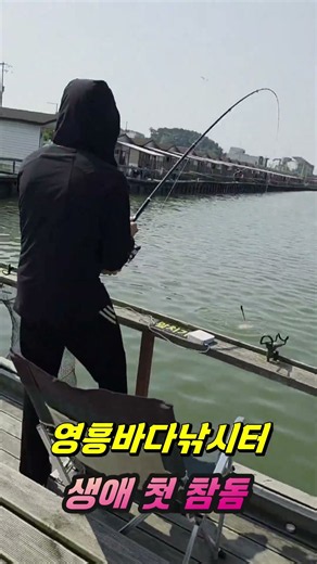 영흥바다낚시터_생애 첫 낚시_참돔 #fishing #영흥바다낚시터 #바다유료터 #참돔낚시 #바다낚시터 #대부도낚시터 #바다낚시 #낚시 #유터낚시