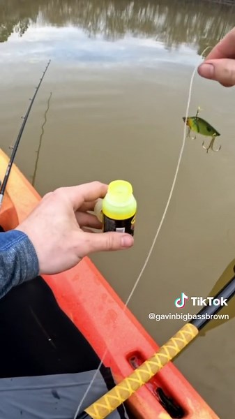 Enhance Your Fishing Game with Garlic Scent: Tips and Hacks