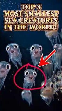 Top 3 Most Smallest Sea Creatures in the World, and the last one will Shocked you!😲 #shorts