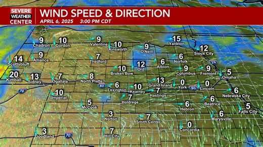 Here's a look at your current conditions around the area. They include current temperatures, winds, wind chill/heat index, satellite and radar, and visibility. | Local4 Weather