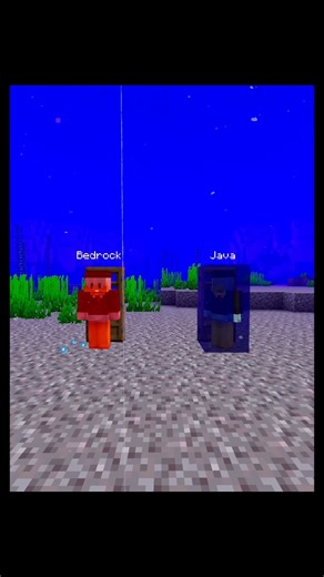 Creating a Stunning BedRock Door in Minecraft