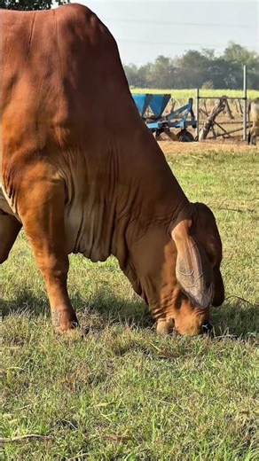 #agrifuture #agritech #agriculturetechnology