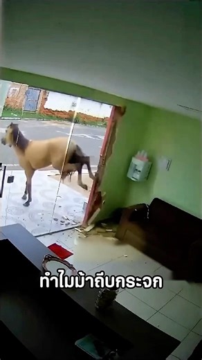 The secret of tempered glass: Strong as steel, but fragile as a heart! #storytelling #viral #vira...