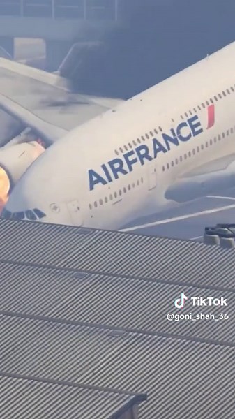 Dramatic Emergency Landing of Air France Airplane