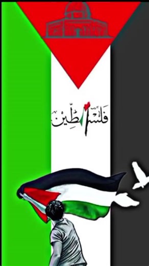 ‏TikTok · legend Ahmed