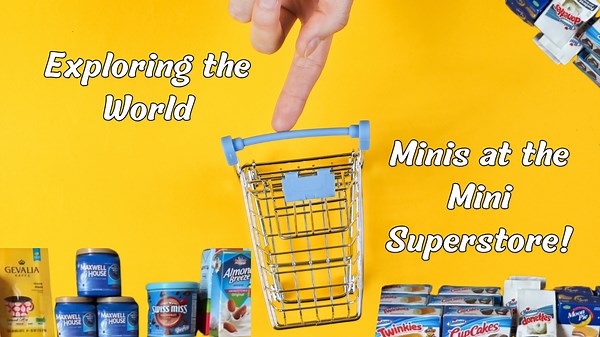 Exploring the World of Minis at the Mini Superstore!