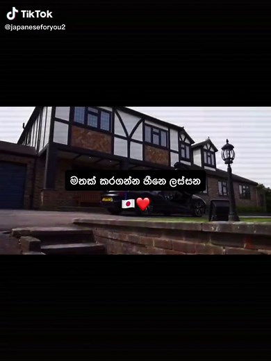 Exploring Japanese Language and Culture