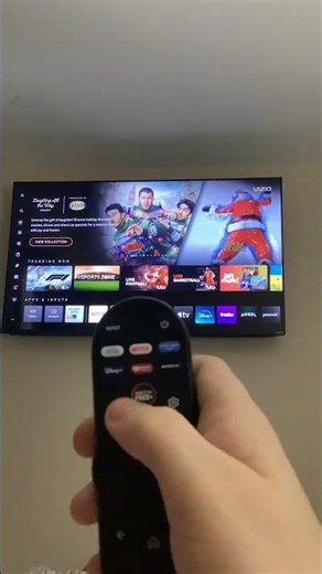 Vizio Remote Mic test 🎙️