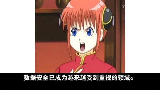 AES加密：为什么它是数据保护的首选？