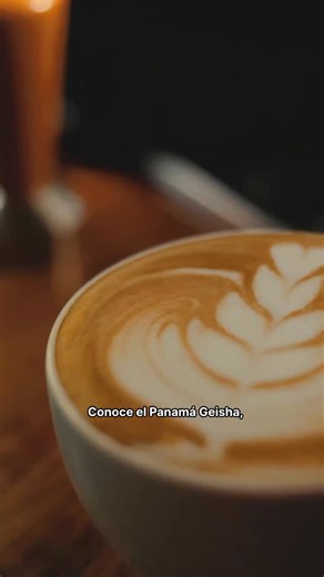Discover 6 surprising facts about the world’s most awarded coffee, the Panamá Geisha. ☕✨ Grown in the highlands of Chiriqui, this Geisha variety found in Panamá the perfect blend of altitude, volcanic soil, and passion, earning its place as a global icon of flavor. While you can taste it year-round, for the ultimate visual show (and to see the beautiful coffee flowers), aim for harvest season: November, December, and January. Disclaimer: No worries… tasting it here won’t cost you $30K a cup (we 