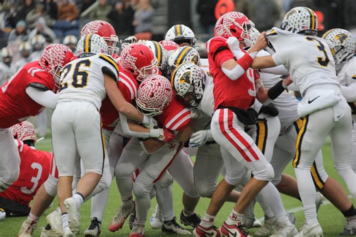 'Proud to be a Falcon': Hillsdale falls to St. Henry in Division VII state final