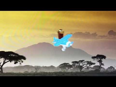 Baby Einstein - Jane’s Animal Expedition Video Version - Jane the Monkey Is Flying Plane Of Animals