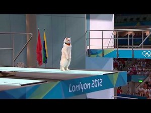 Cat Olympics 2025 | White Norwegian Forest Cat Diving Finals 🐾✨