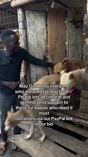 Support our rescued pups ❤️ Every donation feeds, heals & gives them hope. PayPal link in bio 🙏