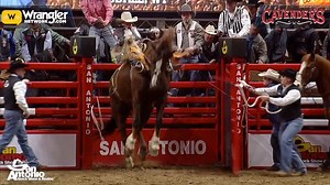 2.8K views · 114 reactions | San Antonio Stock Show Rodeo committee...