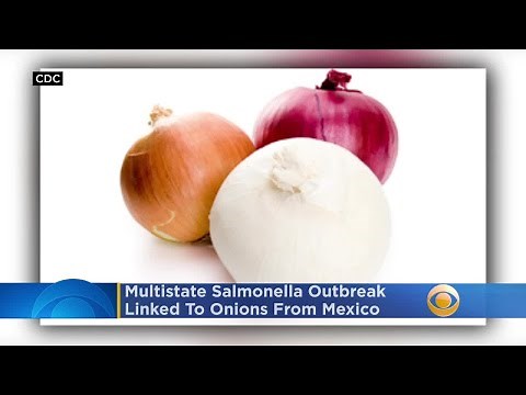 Onions Linked To Salmonella Outbreak In 37 States, Including Pennsylvania, New Jersey