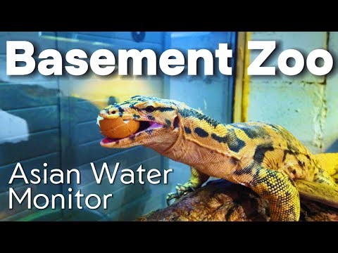 UPGRADING MY ZOO! (Vision 734 Cage)