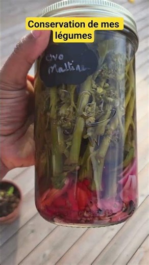 Comment conserver ses légumes du potager ?#potager