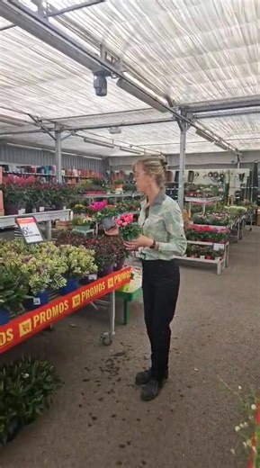 Gamm Vert Mania, c’est parti ! 🔥 👉 Des promos folles côté jardin, potager & animalerie ⏳ Jusqu’au 21 septembre seulement ! Voir sélections en magasin. | Gamm vert Montdidier