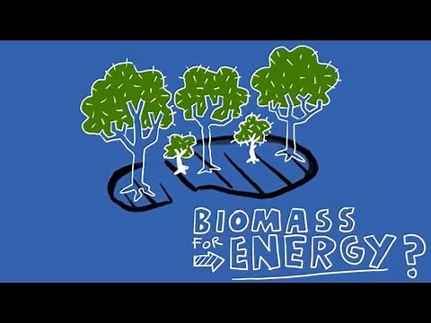 Why burning biomass is not zero-carbon | Explainer | Chatham House