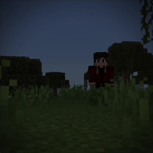 Grow Your Minecraft Community to 50K Followers