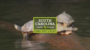 Ready to dive into your next adventure? You’ll find plenty of unique things to see and do in South Carolina’s state parks. | South Carolina State Parks