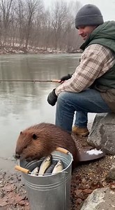 He didn’t catch the fish… the fish caught him The videos are made using AI for your entertainment | Jason Nash