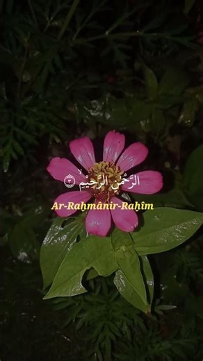 POWERFUL SATURDAY DUA MUST LISTEN! For Blessings & Protection Over Your Home - InsyaAllah