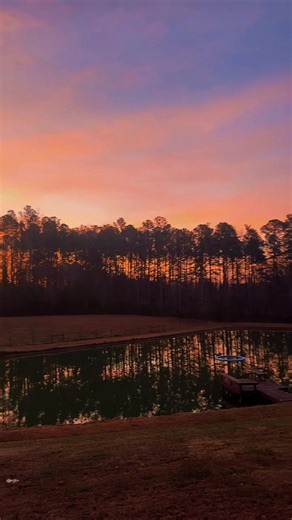 Good morning from The White Rabbit 🐇 🥀 #morning #goodmorning #sunrise #pond #farmlife