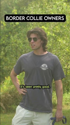 Types of Dog Breed Owners at the Park